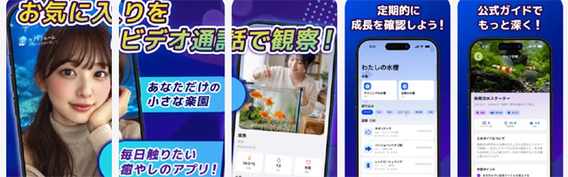 カブトは人気のエロビデオ通話アプリ